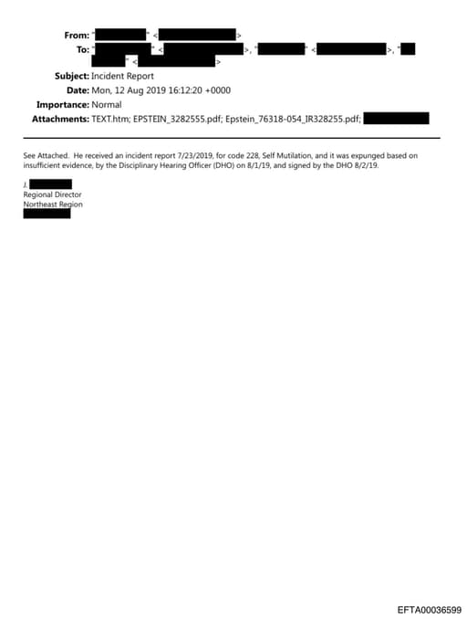 Preview of EFTA00036599