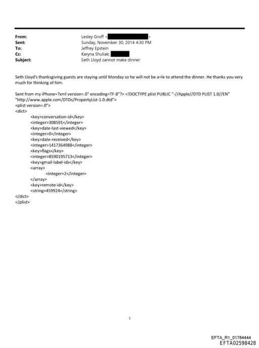 Preview of EFTA02598428