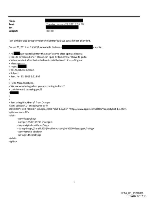 Preview of EFTA02323236