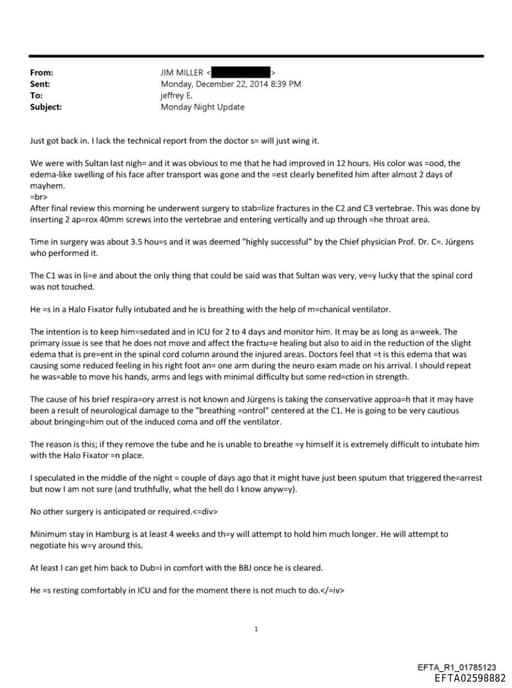 Preview of EFTA02598882