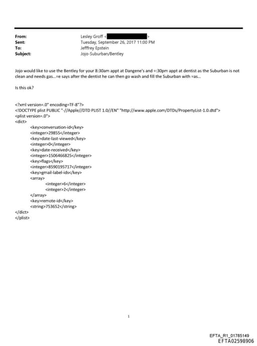 Preview of EFTA02598906