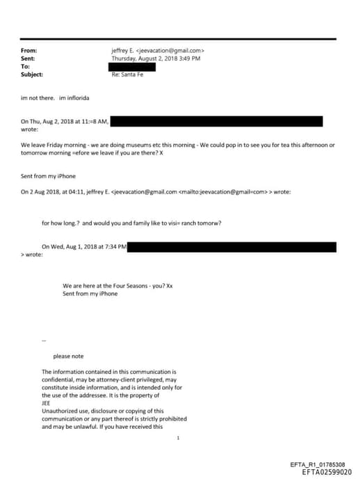 Preview of EFTA02599020