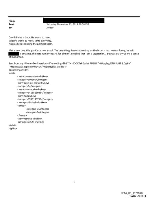 Preview of EFTA02599074