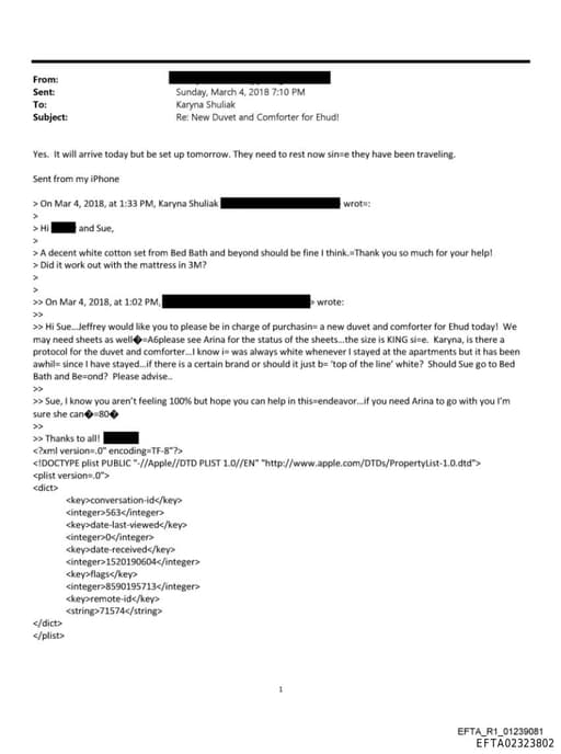 Preview of EFTA02323802