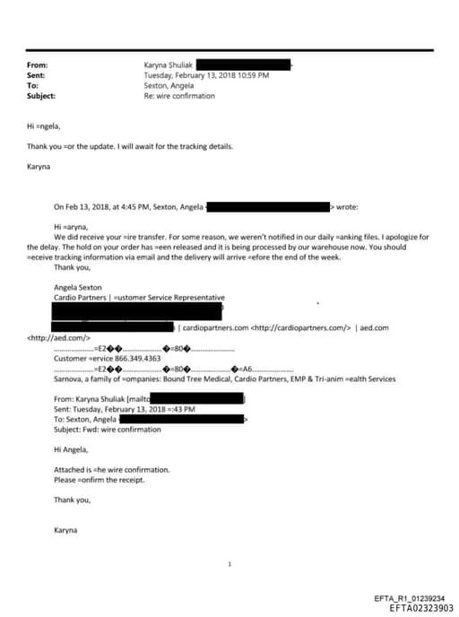 Preview of EFTA02323903