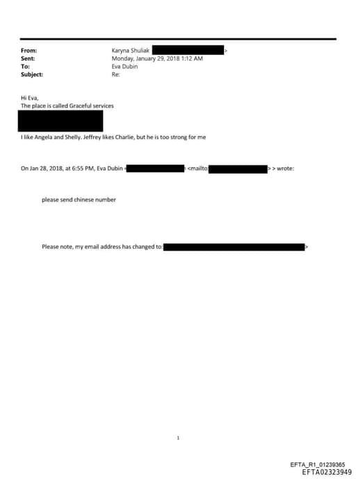 Preview of EFTA02323949