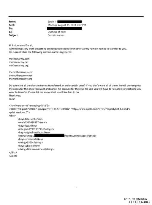 Preview of EFTA02324042