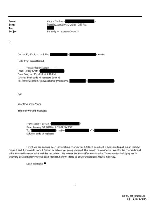 Preview of EFTA02324058