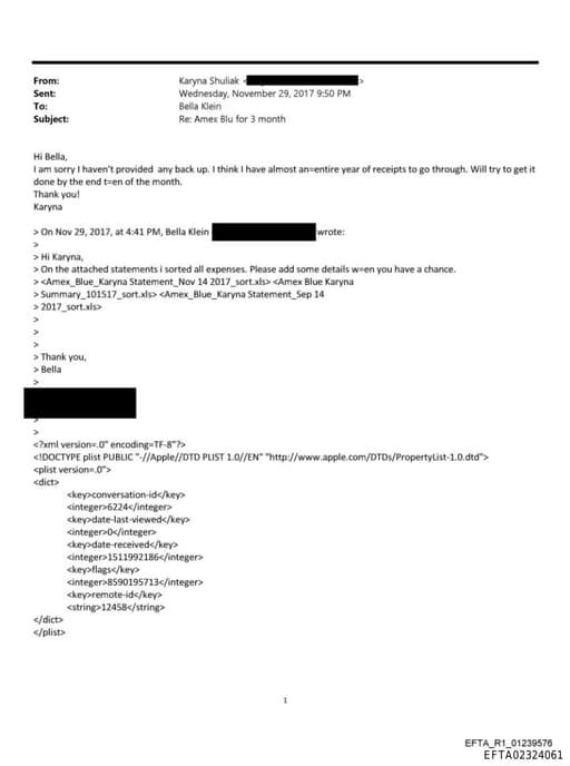 Preview of EFTA02324061