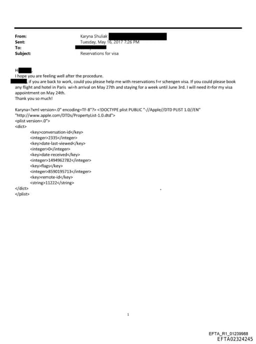 Preview of EFTA02324245