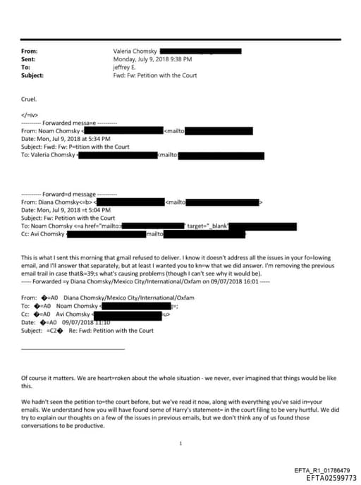 Preview of EFTA02599773