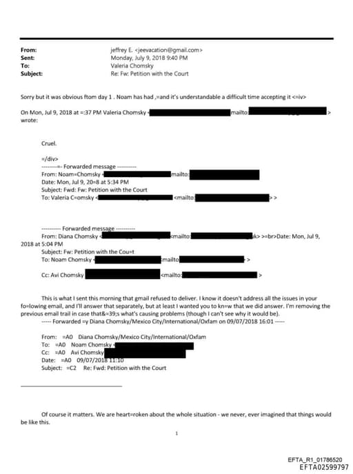 Preview of EFTA02599797