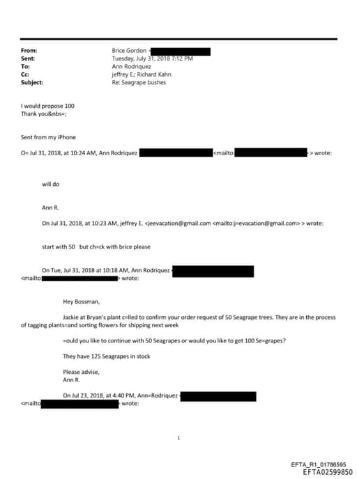 Preview of EFTA02599850