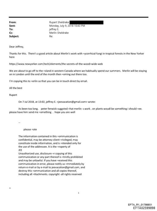 Preview of EFTA02599898