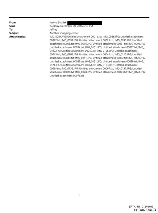 Preview of EFTA02324404