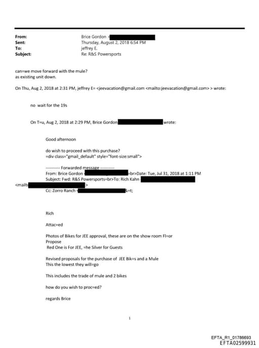 Preview of EFTA02599931