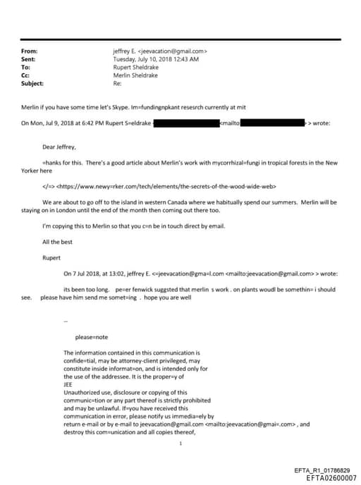 Preview of EFTA02600007