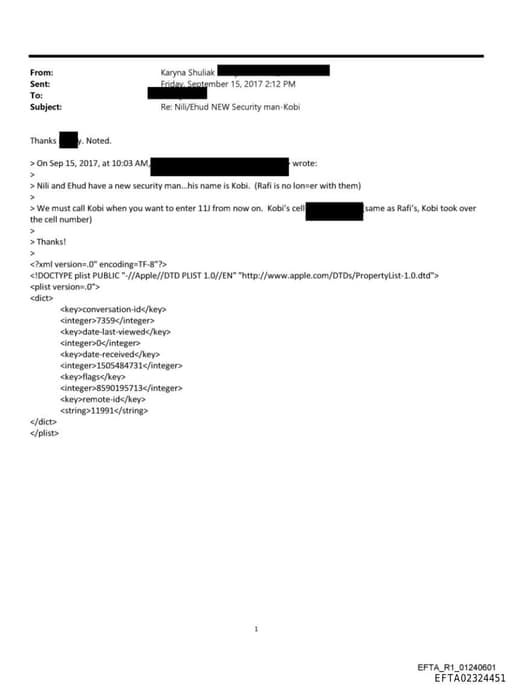 Preview of EFTA02324451