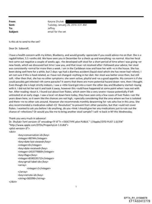 Preview of EFTA02472778