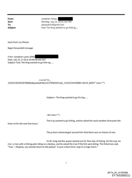 Preview of EFTA02600211