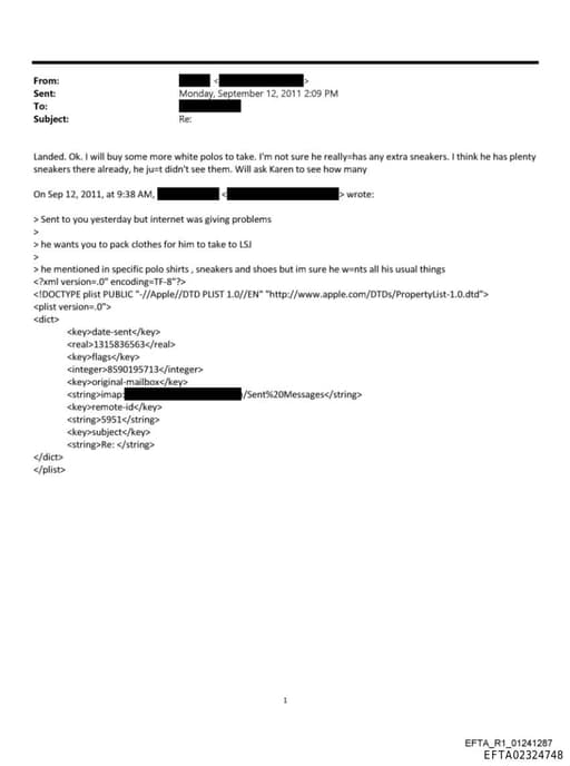 Preview of EFTA02324748