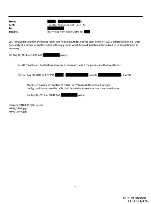 Preview of EFTA02324749