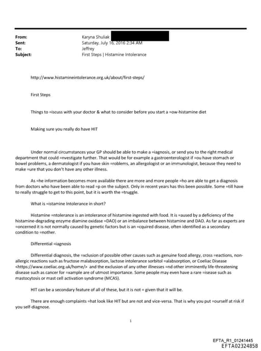 Preview of EFTA02324858