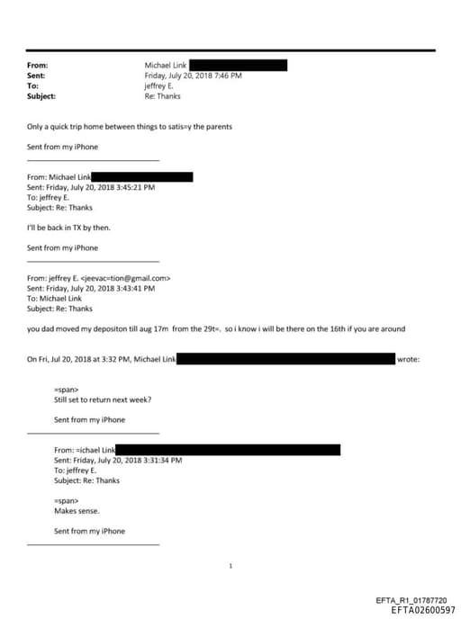 Preview of EFTA02600597