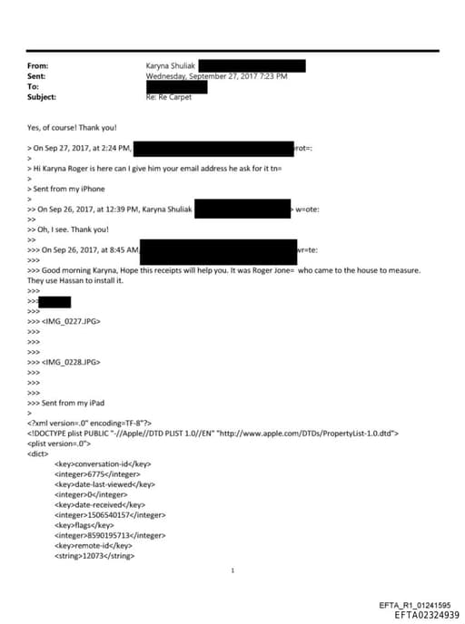 Preview of EFTA02324939