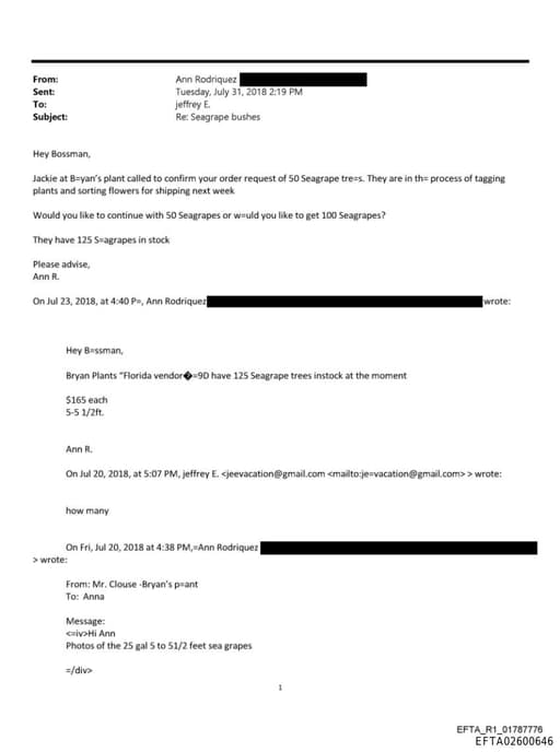 Preview of EFTA02600646