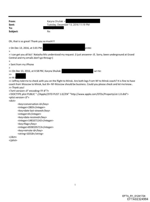 Preview of EFTA02324994