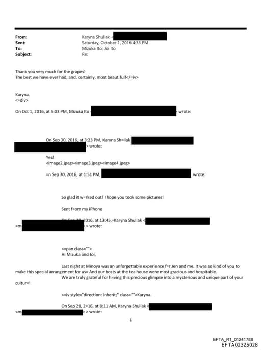 Preview of EFTA02325028