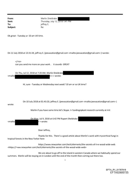 Preview of EFTA02600735