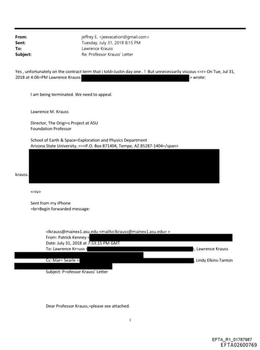 Preview of EFTA02600769