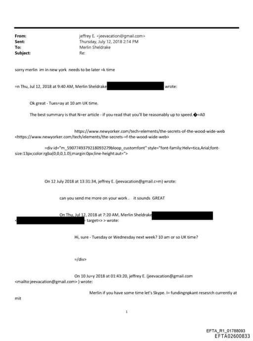 Preview of EFTA02600833