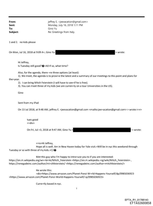 Preview of EFTA02600858