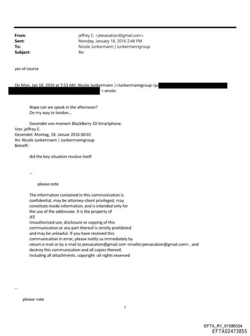 Preview of EFTA02473855