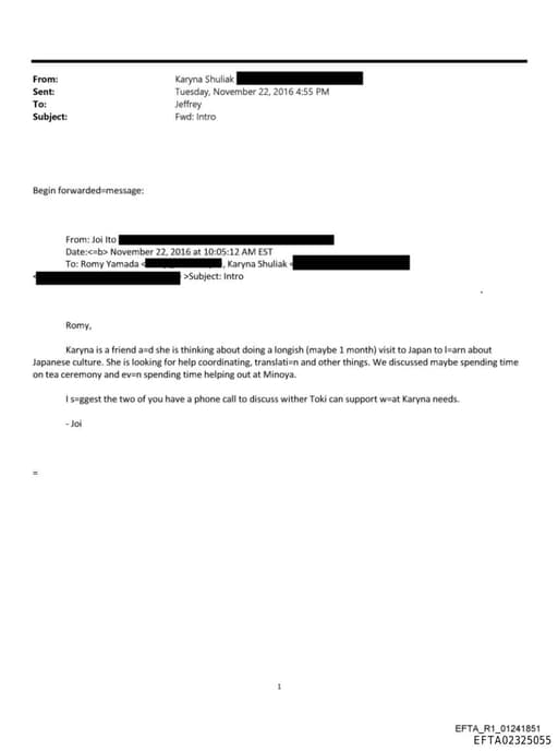 Preview of EFTA02325055