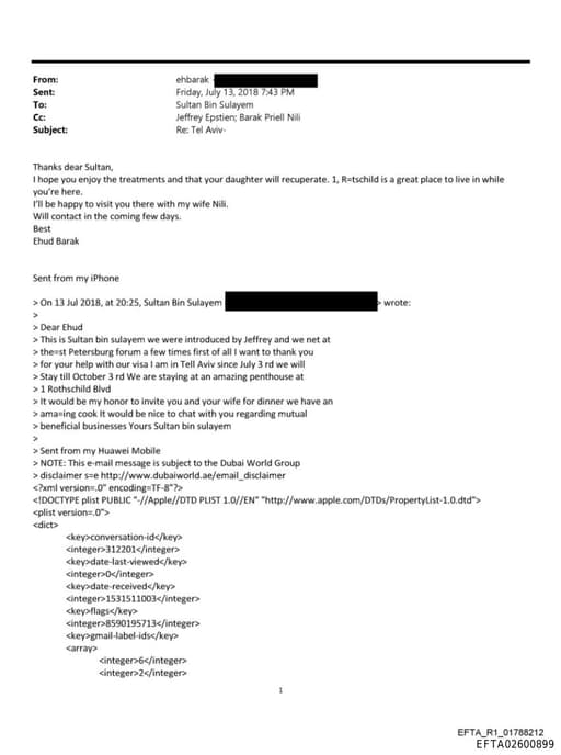 Preview of EFTA02600899