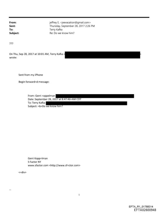 Preview of EFTA02600948