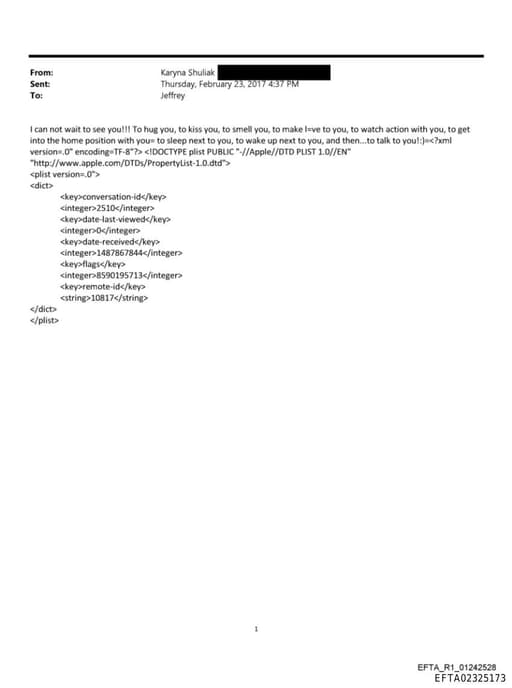 Preview of EFTA02325173