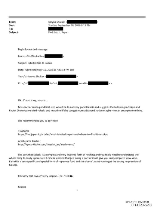 Preview of EFTA02325292