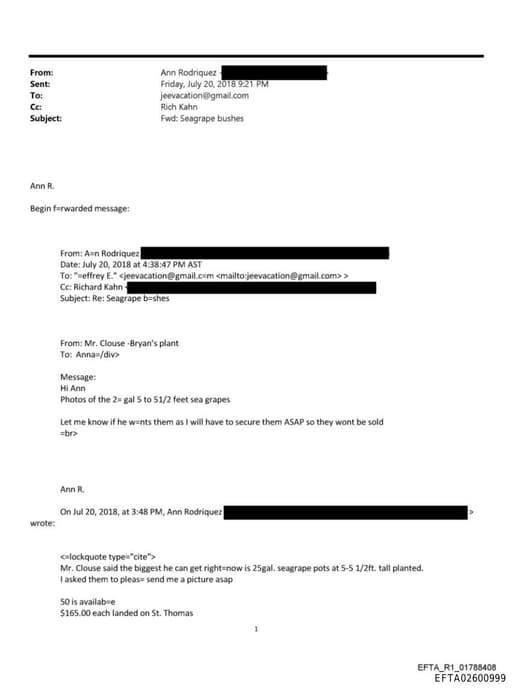 Preview of EFTA02600999