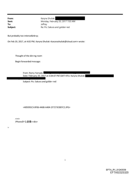 Preview of EFTA02325320