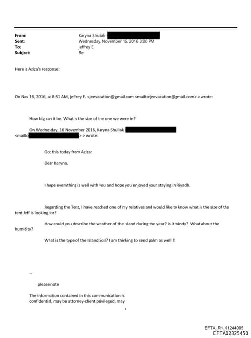 Preview of EFTA02325450