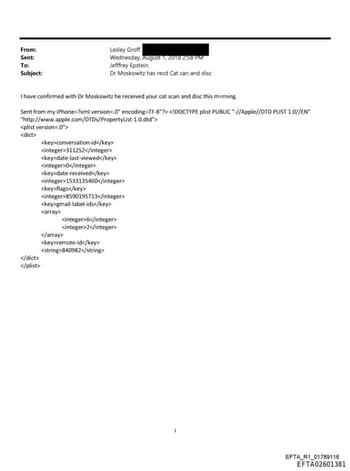 Preview of EFTA02601381