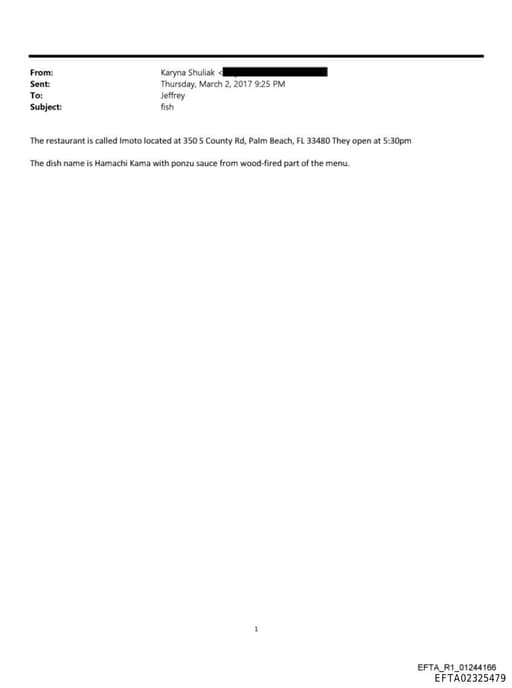 Preview of EFTA02325479