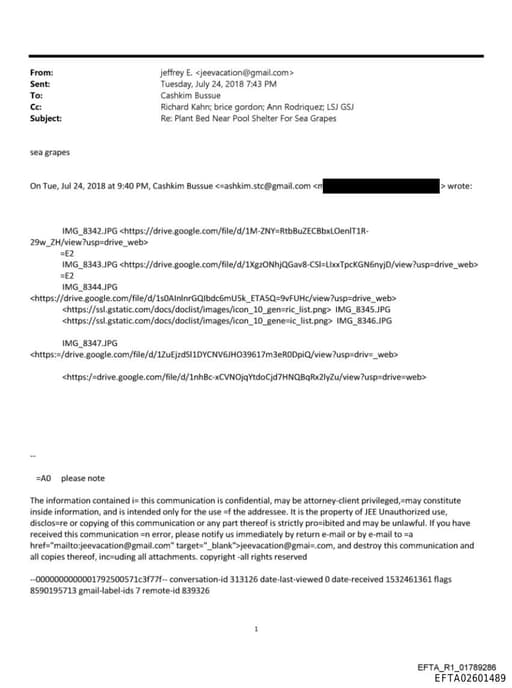 Preview of EFTA02601489