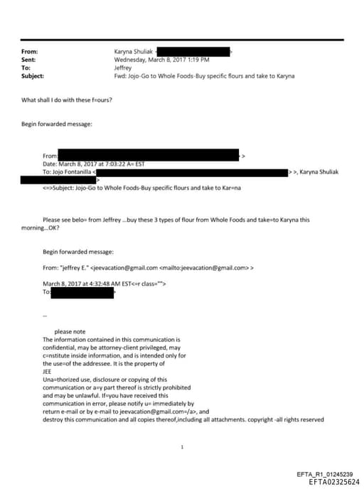 Preview of EFTA02325624