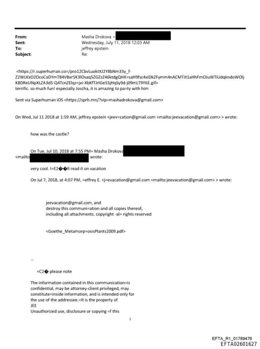 Preview of EFTA02601627